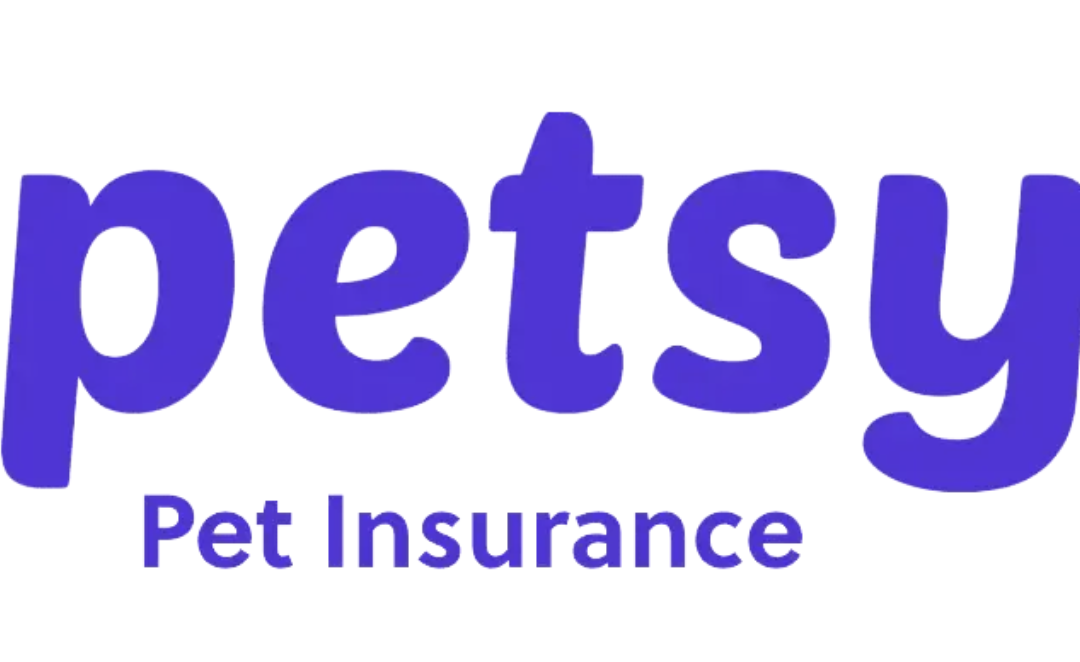 NSW Crowned the Cavoodle Capital of Australia